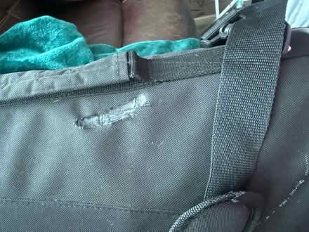 Photo of free Small animal carrier (Eastbourne) #2