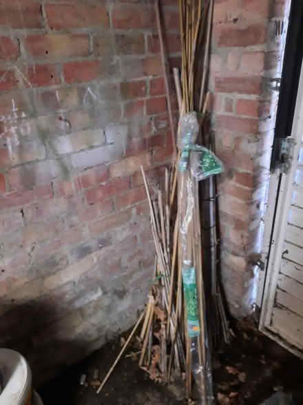 Photo of free Bamboo canes (Potters Bar, EN6) #1