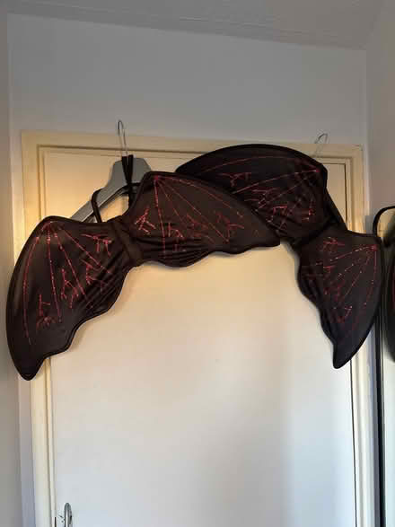 Photo of free Halloween costume bat wings x2 (WGC) #1