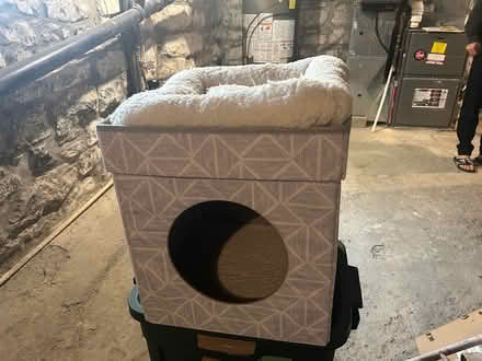 Photo of free Collapsible cat bed/box (Downtown Ottawa - canal/Elgin) #1