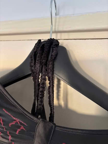 Photo of free Halloween costume bat wings x2 (WGC) #3