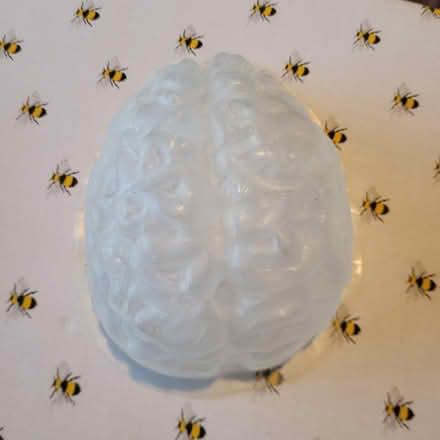 Photo of free Plastic Brain mould and heart mould (West Southbourne BH6) #3