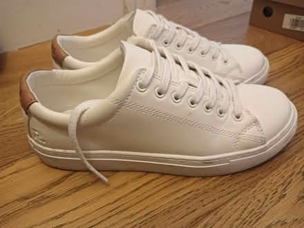 Photo of free Ladies trainers size 6 (W5) #3