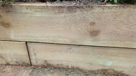 Photo of Garden sleeper (Horsham, Nr Forest School) #1