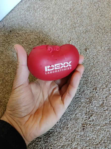 Photo of free Kidney Stress Ball (EH16, Prestonfield) #1