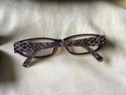 Photo of free Reading glasses and cases (Conroy Rd & Walkley Rd) #2