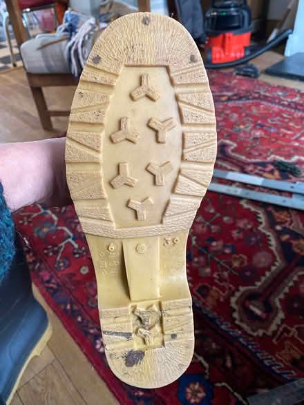 Photo of free Wellies size 6 Dunlop (Bristol BS3 (Totterdown)) #2