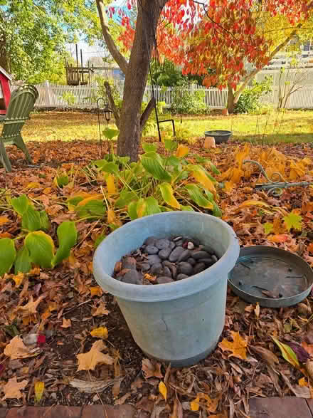 Photo of free River rocks (Hyde Park near Milton) #1
