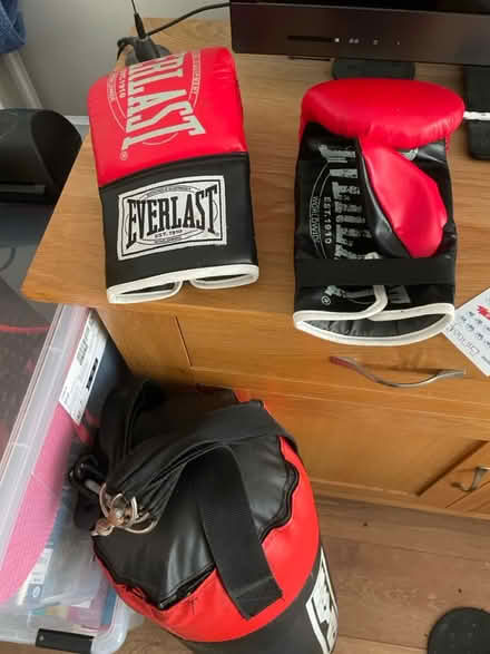 Photo of free Punch bag and gloves (Penge SE20) #3