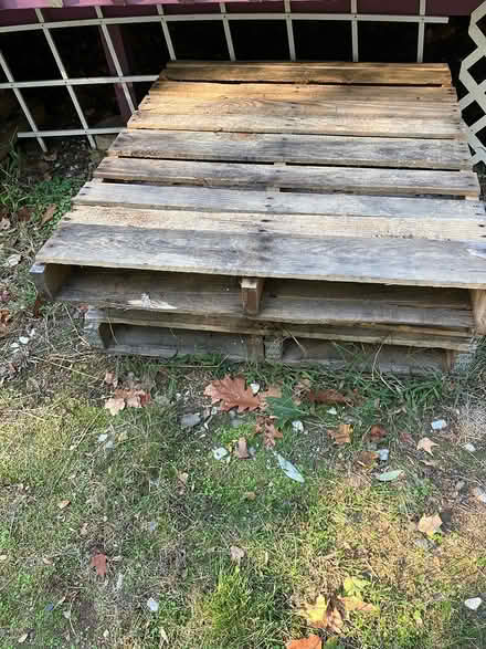 Photo of free Wood Pallets (4) (Kennedy road stop & shop,) #2