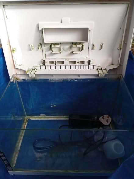 Photo of free Small used aquarium (Slade Green DA8) #2
