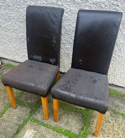 Photo of free Dining room chairs x 2 (Shankill) #1