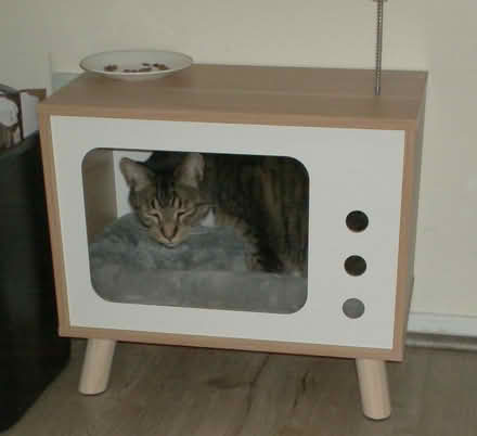 Photo of free cat bed shaped like TV (Western Dearborn) #1
