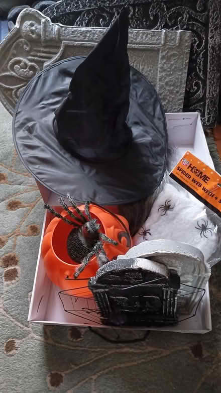 Photo of free Halloween decorations incl web (Somerville, off Cedar St) #1