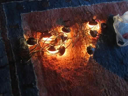 Photo of free outdoor xmas light set (Finchley N12) #1