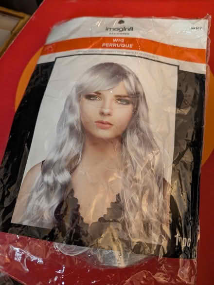 Photo of free Halloween items (North Cambridge) #1