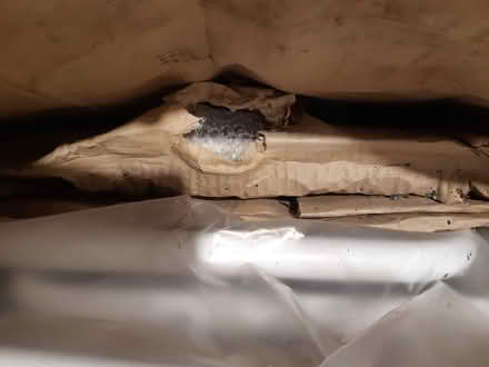 Photo of free Commode for over toilet (Dublin 12) #3