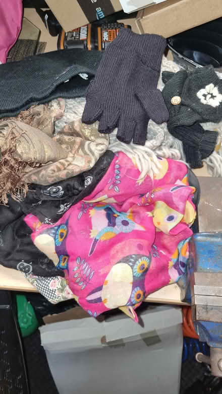 Photo of free Bag of scarves, mittens and hat (Dunkeswell nr Honiton) #1