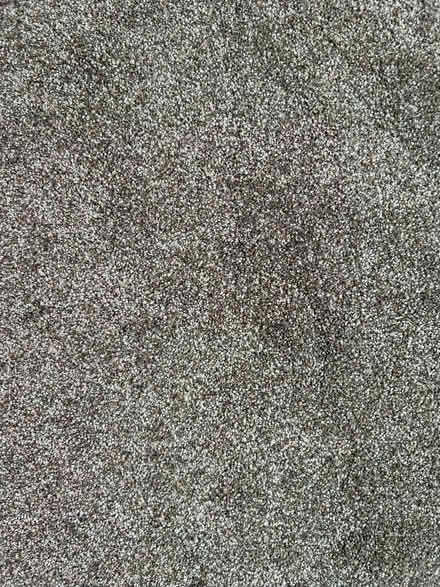 Photo of free Fawn carpet (Freeland OX29) #2