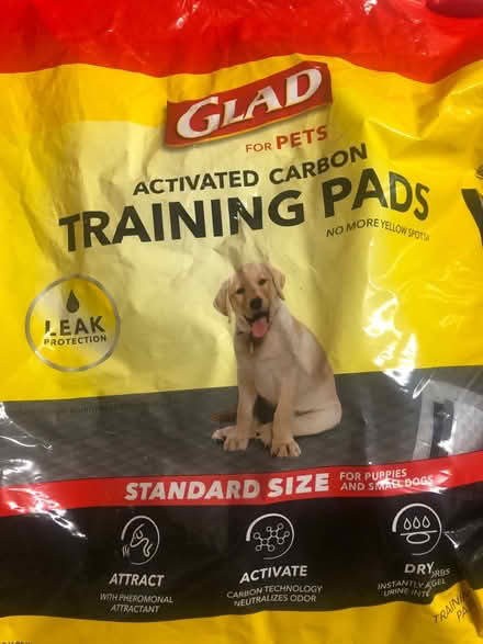 Photo of free Puppy training pads (South Loop) #1