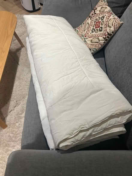 Photo of free Double duvet (West Ealing) #1