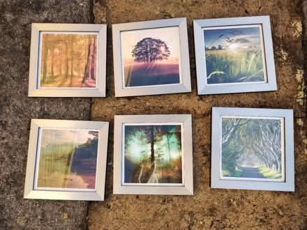 Photo of free Framed pictures #2 (Frome BA11) #1