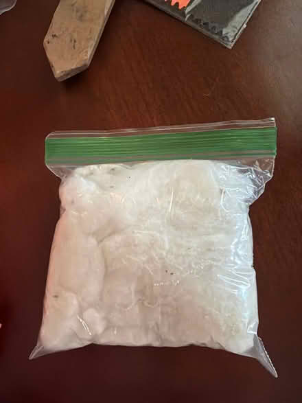 Photo of free Spider netting / 2 pumpkin bags (Downers Grove) #1