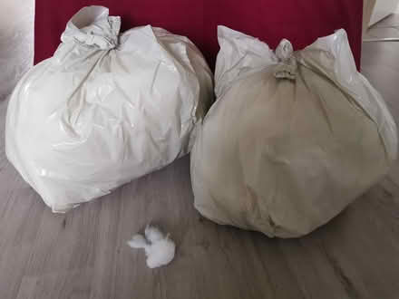 Photo of free White stuffing from cushions (Potton SG19) #1