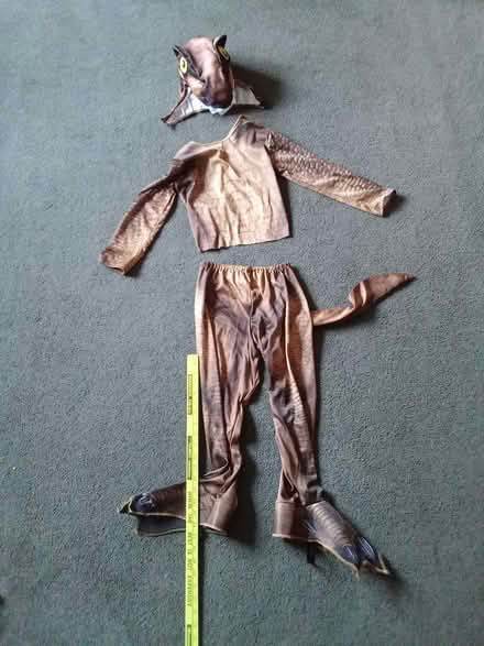 Photo of free Dinosaur costume (Fontenaix subdiv., Naperville) #1