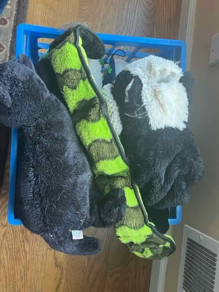 Photo of free Dog toys 🧸 (Belle Mead, NJ) #1