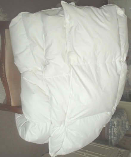 Photo of free duvet quilt-double -white goose feather & down (Hoohill FY3) #1
