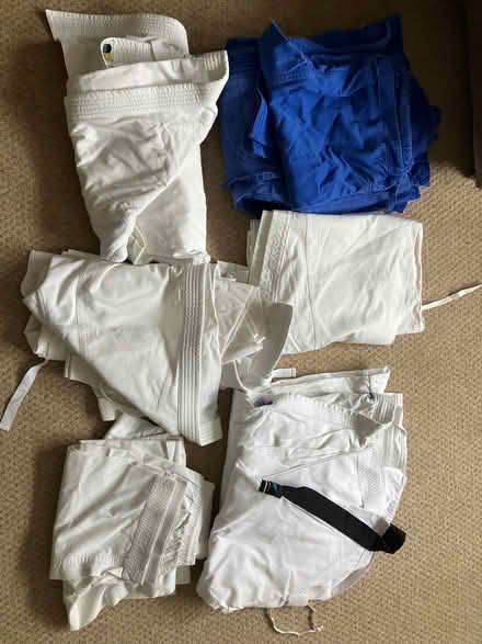 Photo of free Various Martial Arts Training Equipment (Coney Hall BR4) #2