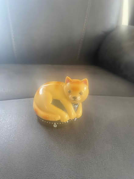 Photo of free Cat timer (Upshire EN9) #1