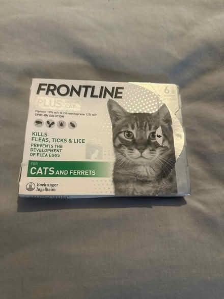 Photo of free Cat/ferret flea treatment (Greater Leys OX4) #1