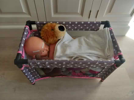 Photo of free Dolls cot + various teddies (EN7 Cheshunt) #1