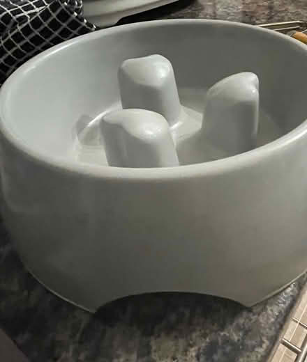 Photo of free Slow feeder dog bowl (Nottingham NG16 Giltbrook) #1