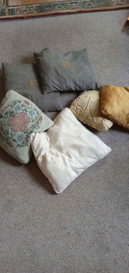 Photo of free Cushions (Lingwood NR13) #1
