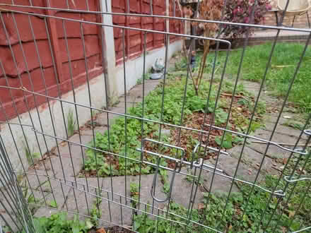 Photo of free Metal fence 0.6m h x 4.5m in 0.56m segments (Highams Park E4) #2