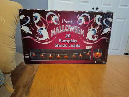 Photo of free Halloween Pumpkin Plug In Lights (Celbridge) #1