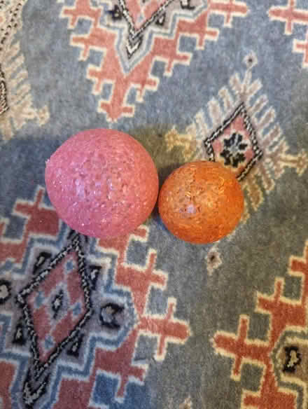 Photo of free Pet/toddler toy (Somerville near Davis square) #1