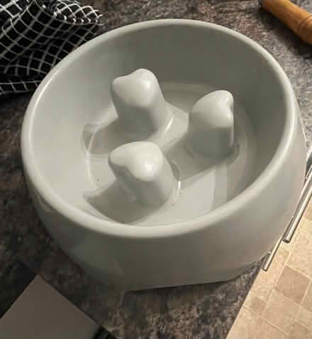 Photo of free Slow feeder dog bowl (Nottingham NG16 Giltbrook) #2
