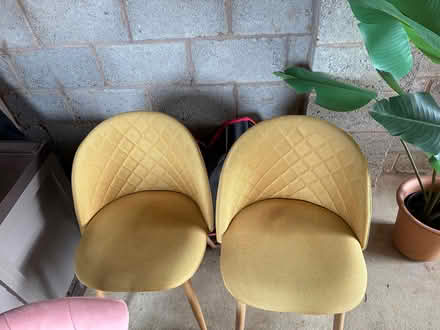 Photo of free Mustard dinning chairs x 2 (Bloxham OX15) #1