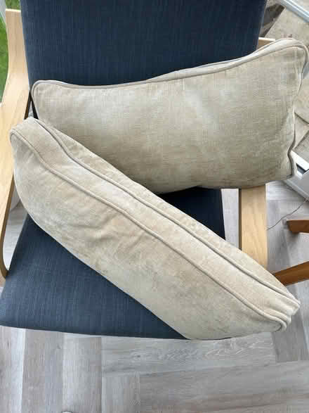 Photo of free Two bolster sofa cushions (Gamston NG2) #2