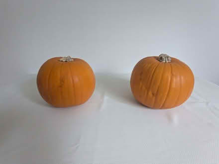 Photo of free 2 pumpkins (New Barnet EN5) #1