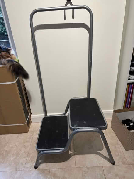 Photo of free Bath steps (Wokingham RG40) #1