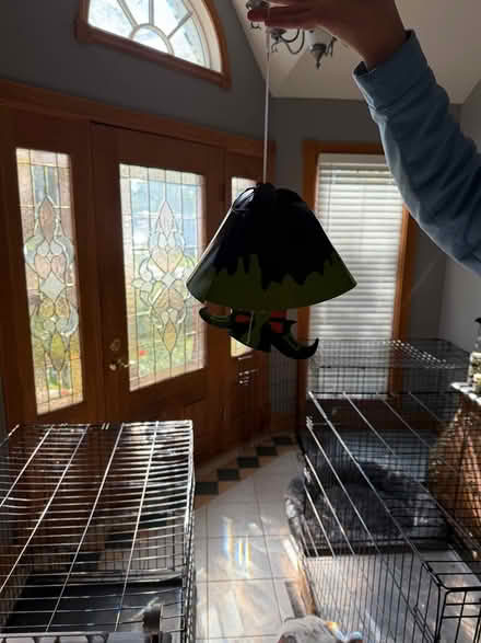 Photo of free With skirts with legs decor and hat (Downers Grove) #4