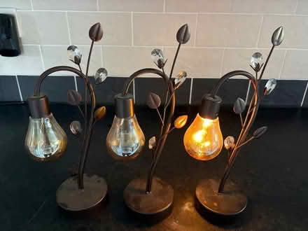 Photo of free Battery lamp decorations (North Tonbridge TN10) #1
