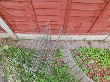 Photo of free Metal fence 0.6m h x 4.5m in 0.56m segments (Highams Park E4) #3