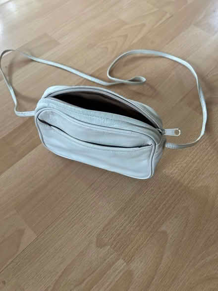 Photo of free Handbags (G42) #3