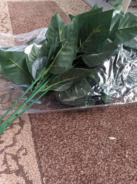 Photo of free 7 artificial pointsettia stems (Mt Rainier MD) #1